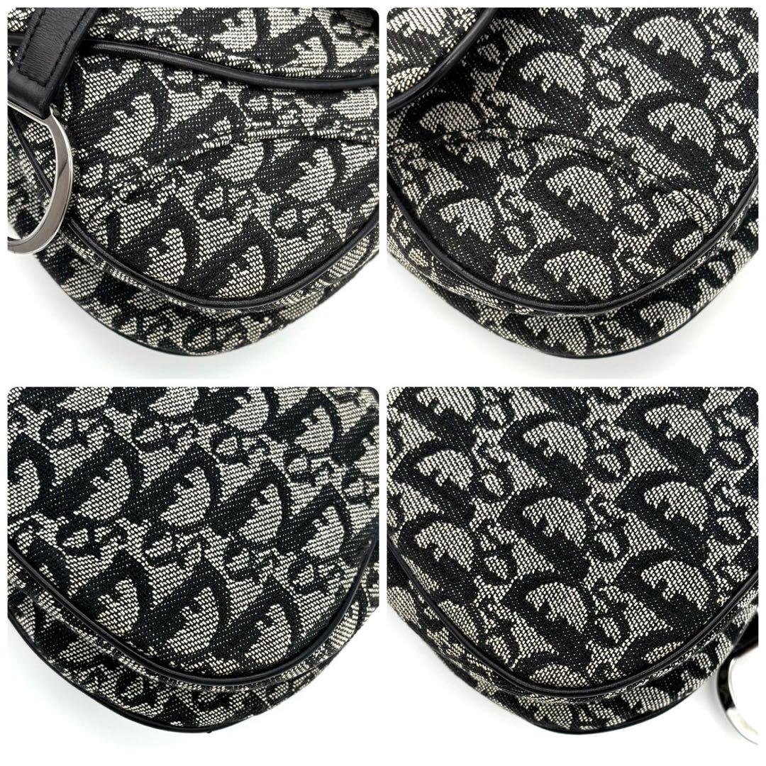 Dior Trotter Double Saddle Bag Gray — view 9