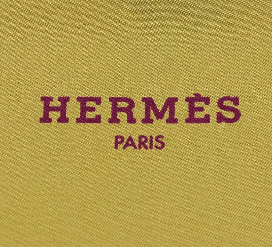 Hermes Silk Shawl Plant Bird Turquoise X Mustard
