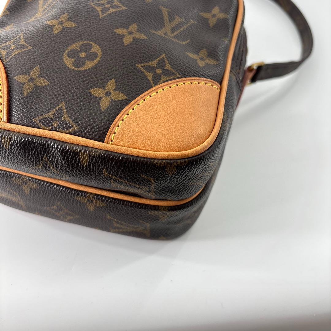 Louis Vuitton Monogram Amazon — view 8