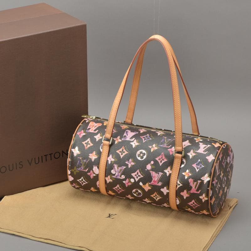 Louis Vuitton Papillon 30 Handbag Water