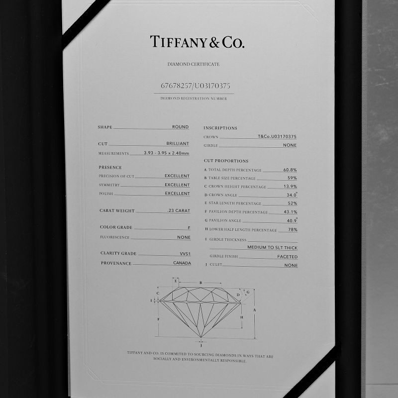 Tiffany & Co Harmony Solitaire 0.23ct Vvs1/f/3ex Pt950platinum × Diamond #14