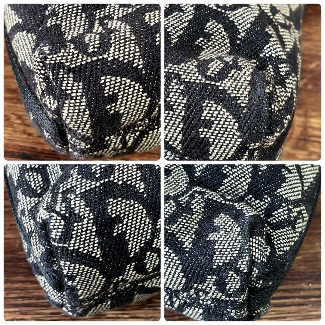 Dior Trotter Canvas Shoulder Hand Pouch — view 6