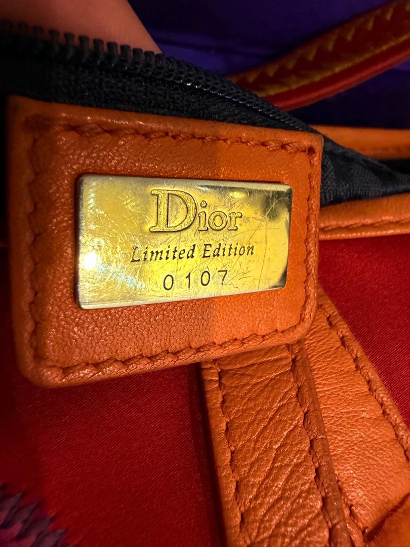 Dior Saddle Bag Embroidery — view 5
