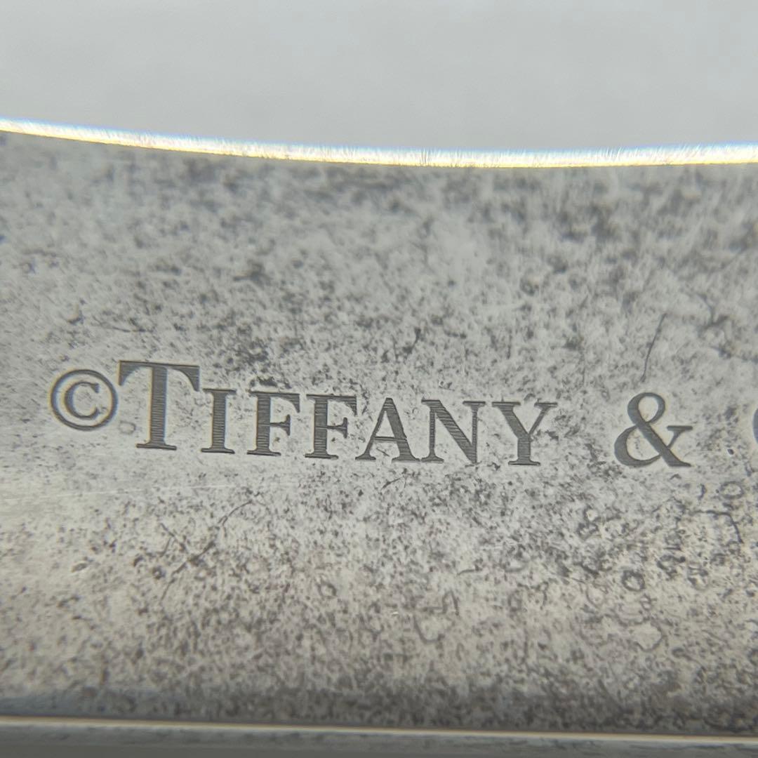 Tiffany & Co Bar Plate Ruba Necklace — view 9