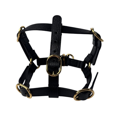 Gucci Interlocking Harness Dog Leather Pet Accessory — view 2