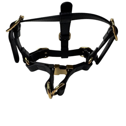 Gucci Interlocking Harness Dog Leather Pet Accessory — view 3