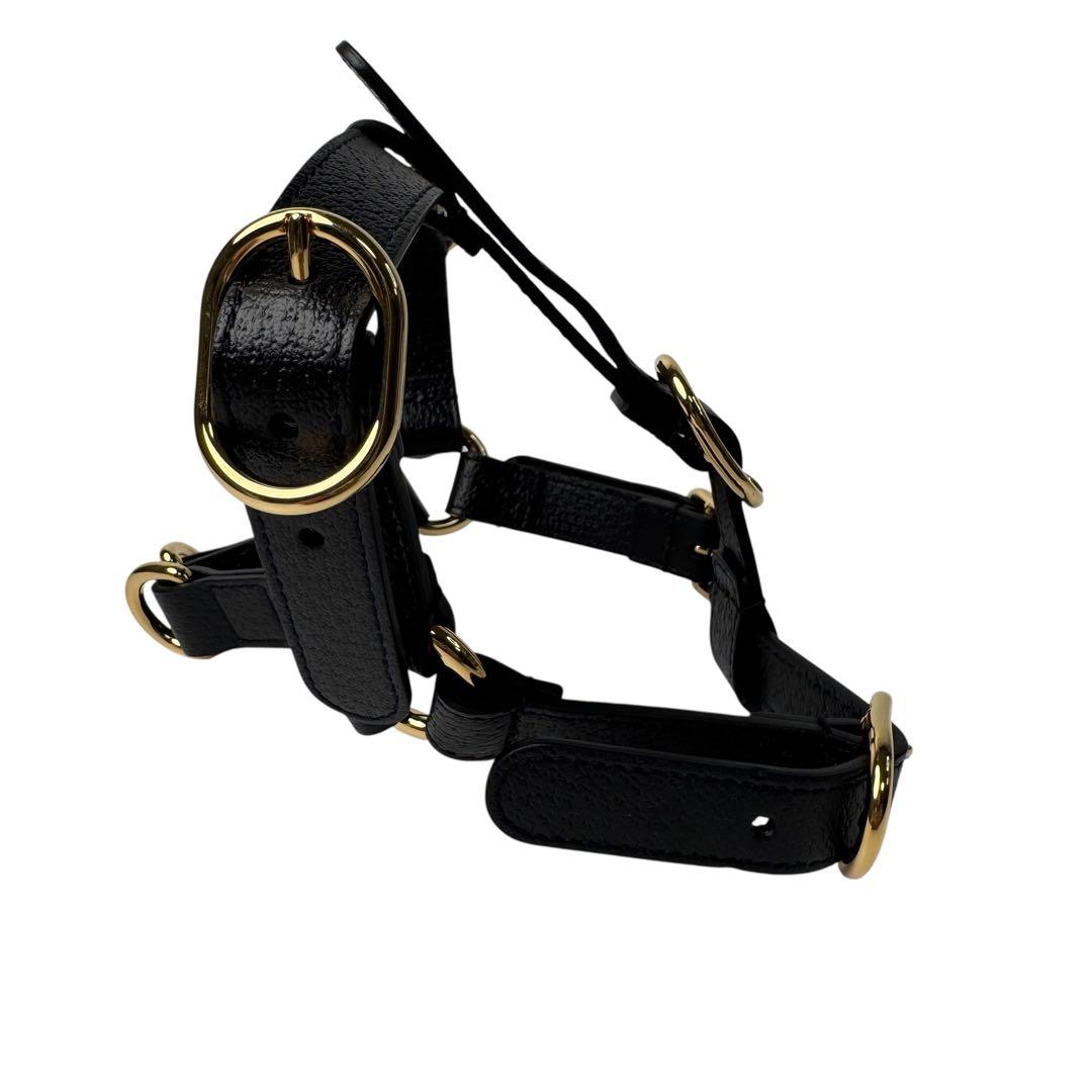 Gucci Interlocking Harness Dog Leather Pet Accessory — view 5