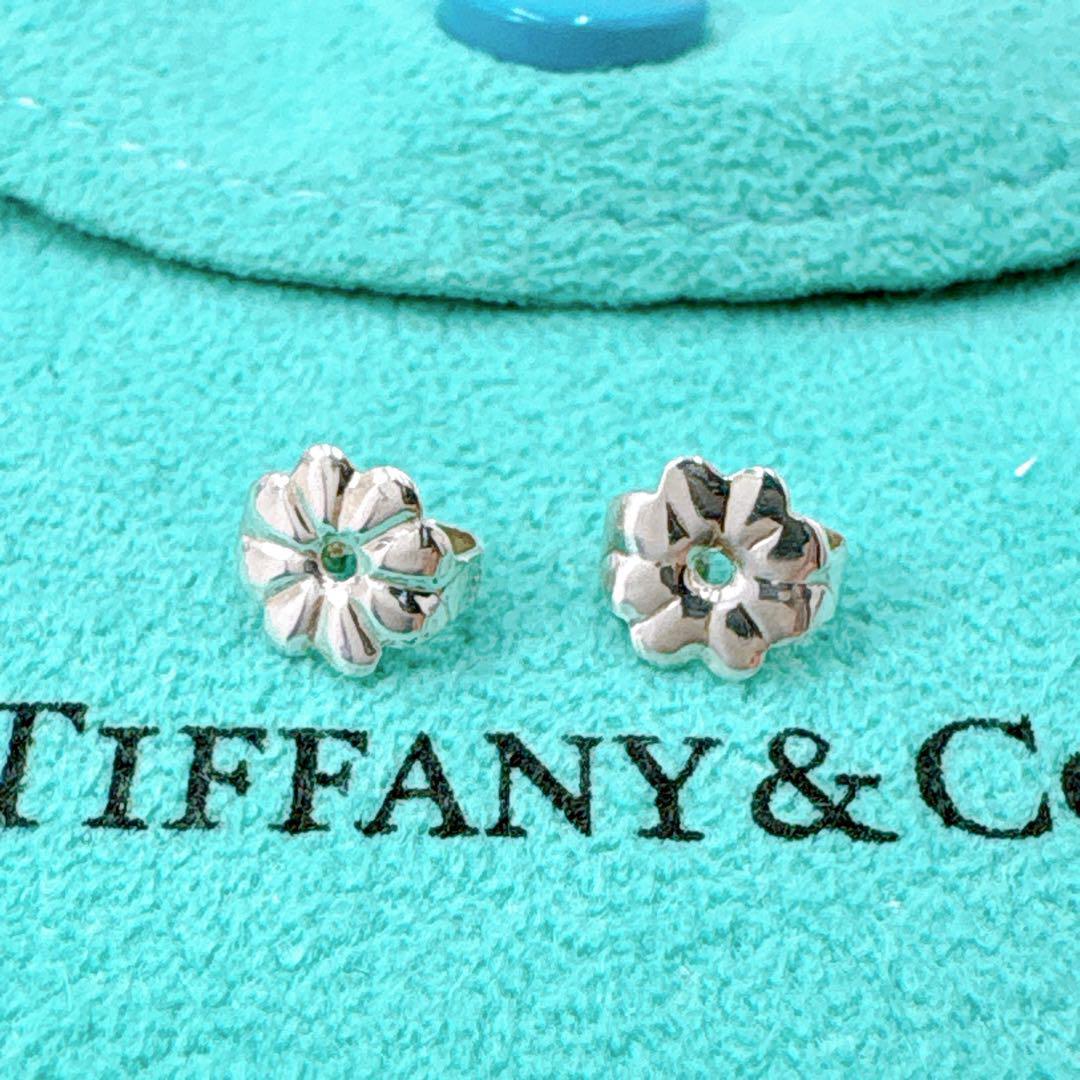 Tiffany & Co Twisted Combi Earrings Silver Gold