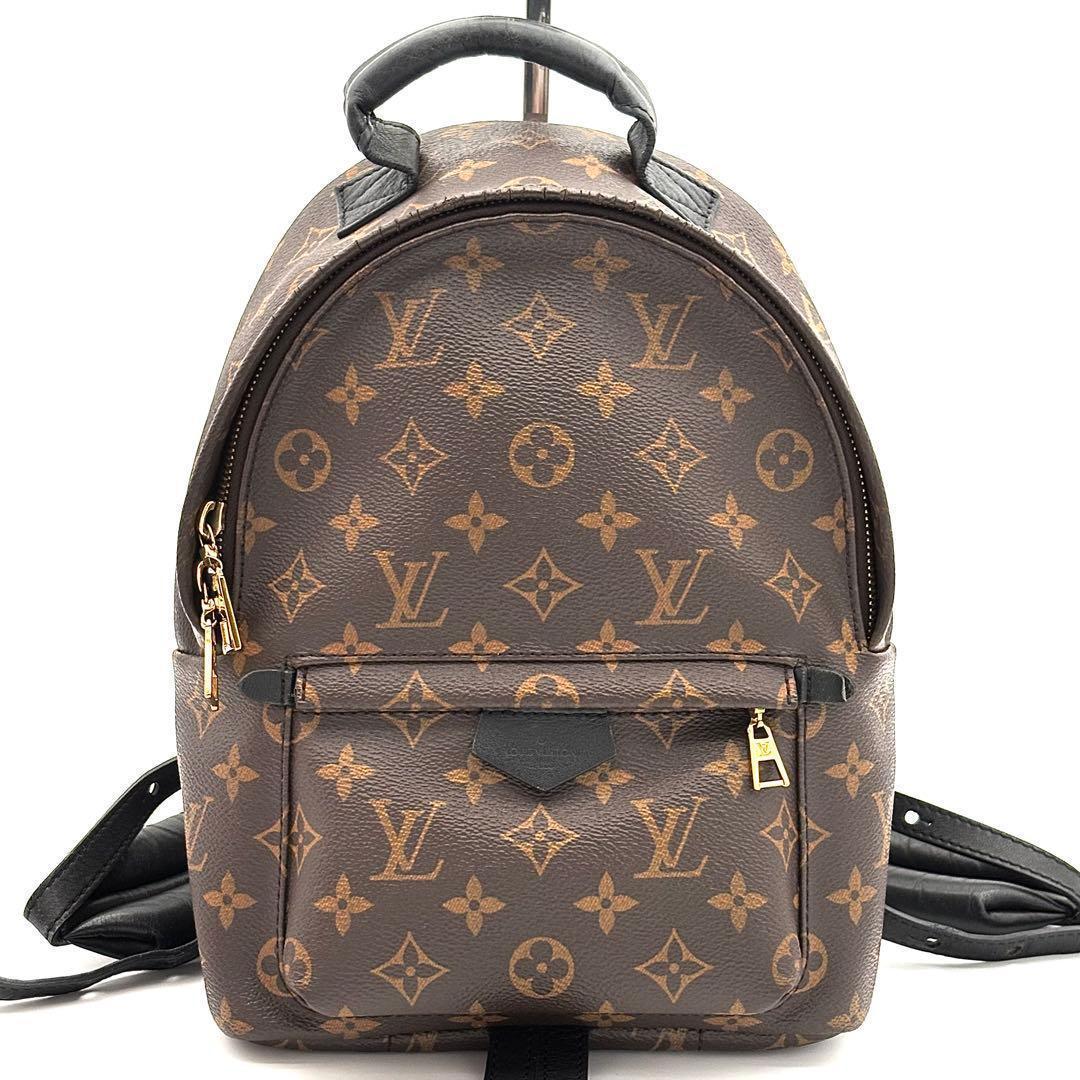 Louis Vuitton Backpack Monogram Palm Spring PM — view 2