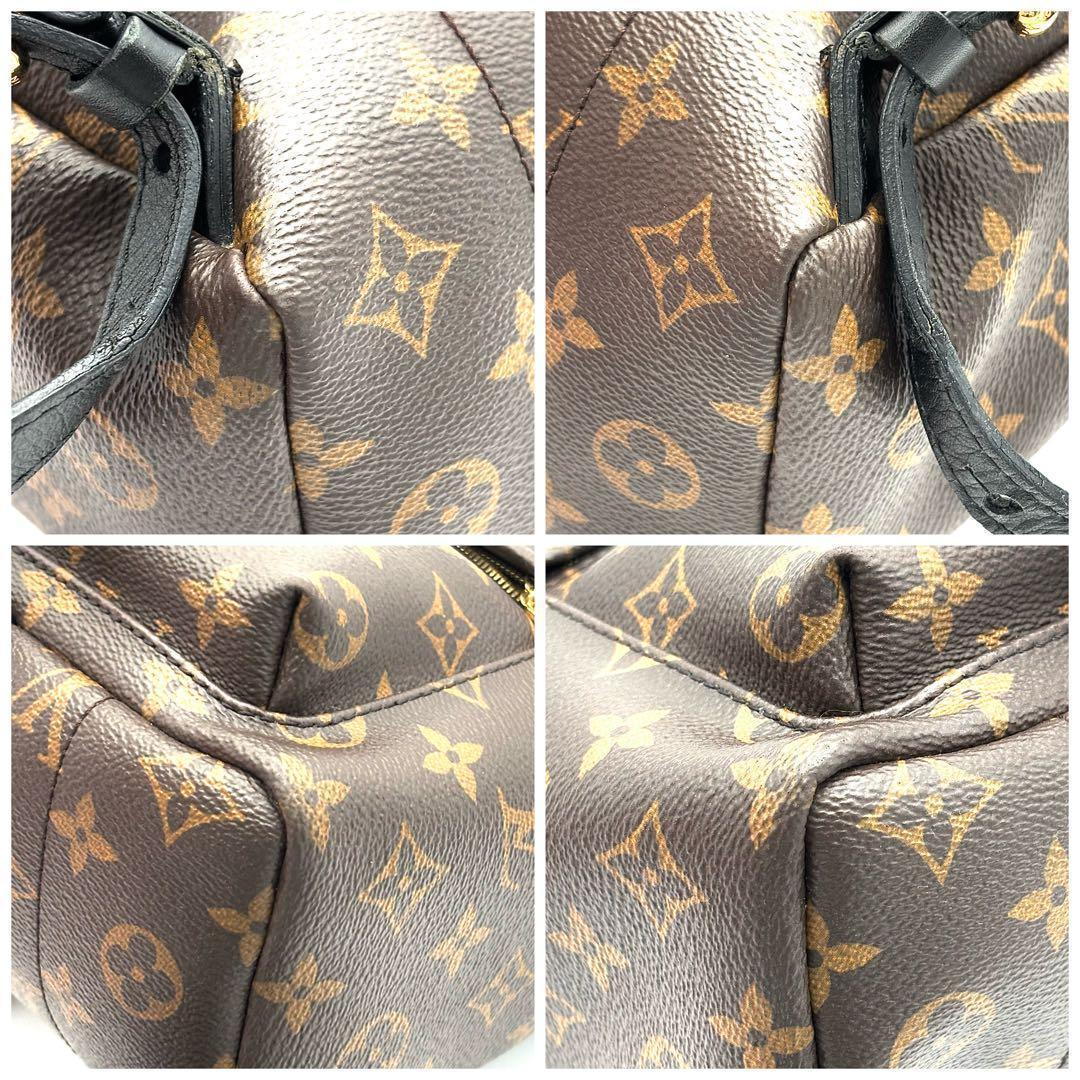 Louis Vuitton Backpack Monogram Palm Spring PM — view 6