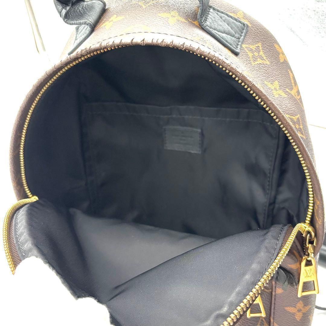 Louis Vuitton Backpack Monogram Palm Spring PM — view 7