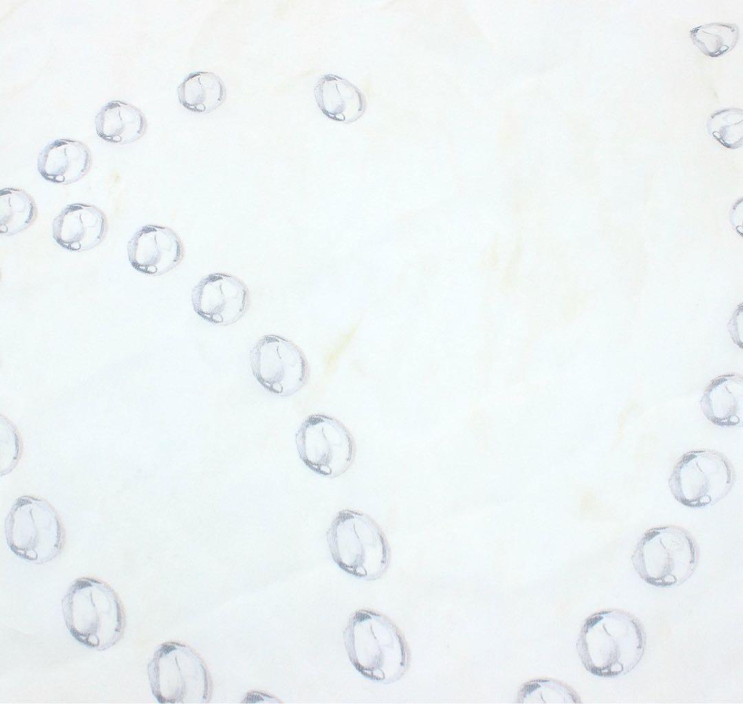 Chanel Cocomark Logo Coral Pattern See-through Silk Scarf