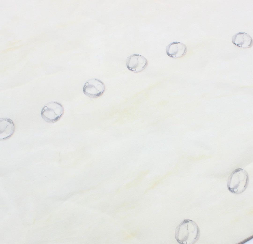 Chanel Cocomark Logo Coral Pattern See-through Silk Scarf