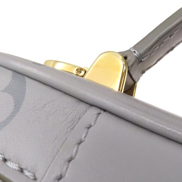 Louis Vuitton 2way Bag Vanity Chain Pouch Calfskin Leather Trianon Gray Gold