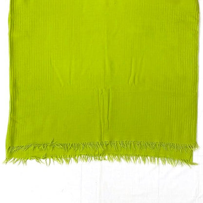 Hermes Shawl Light Green Excellent Condition Cleaned 80% Cashmere