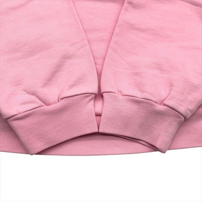 Balenciaga Venezia Logo Hoodie Cotton Venice Limited Pink Long Sleeve