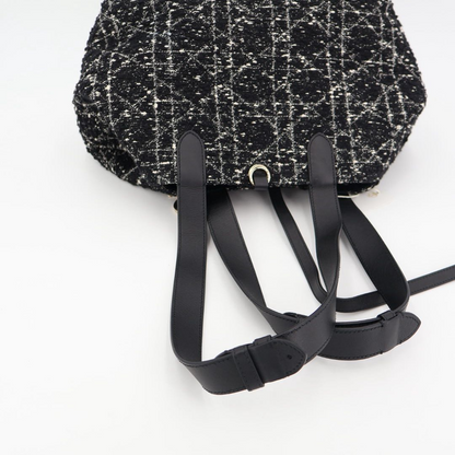 Christian DIOR Handbag Canage Toujours