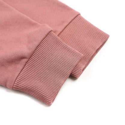 Celine 24ss Arc de Triomphe Sweatshirt 2y88d670q.25pu Pink S