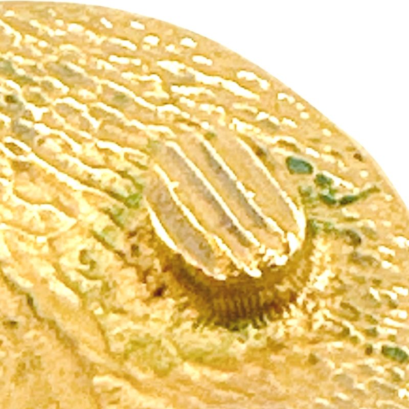 Chanel Earring Circle Logo Large Vintage Cambon Earrings Chanel Gold