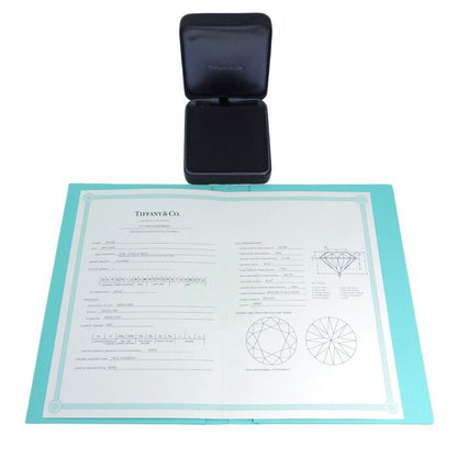 Tiffany & Co Tiffany & Co By-the-yard Diamond Necklace Pt950 Platinum Diamond