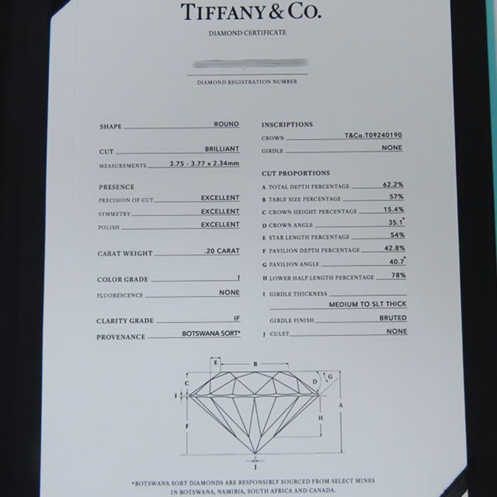 Tiffany & Co Soleste Diamond Necklace Pt950 Platinum Diamond 40.5cm (15.94in)