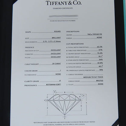 Tiffany & Co Soleste Diamond Necklace Pt950 Platinum Diamond 40.5cm (15.94in)