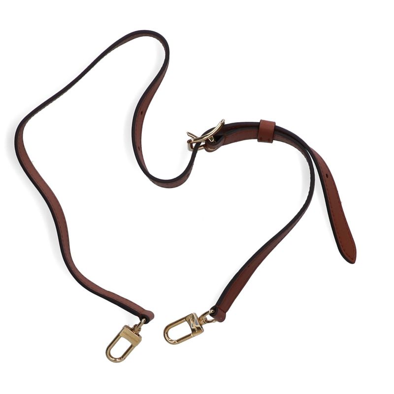 Louis Vuitton Beautiful M46311 Loop Hobo 2-way