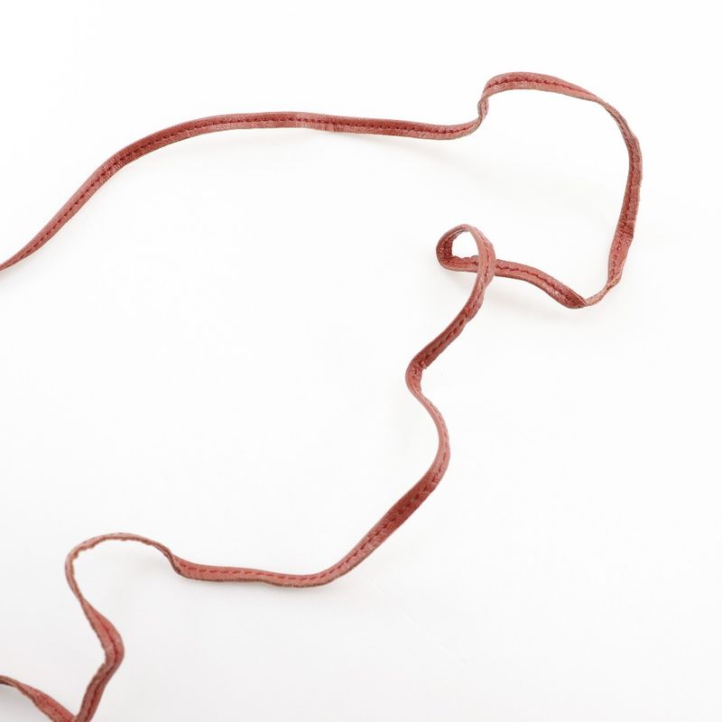 Bottega Veneta Bottega Veneta Accessory Pochette Pouch Leopard Pattern Leopard