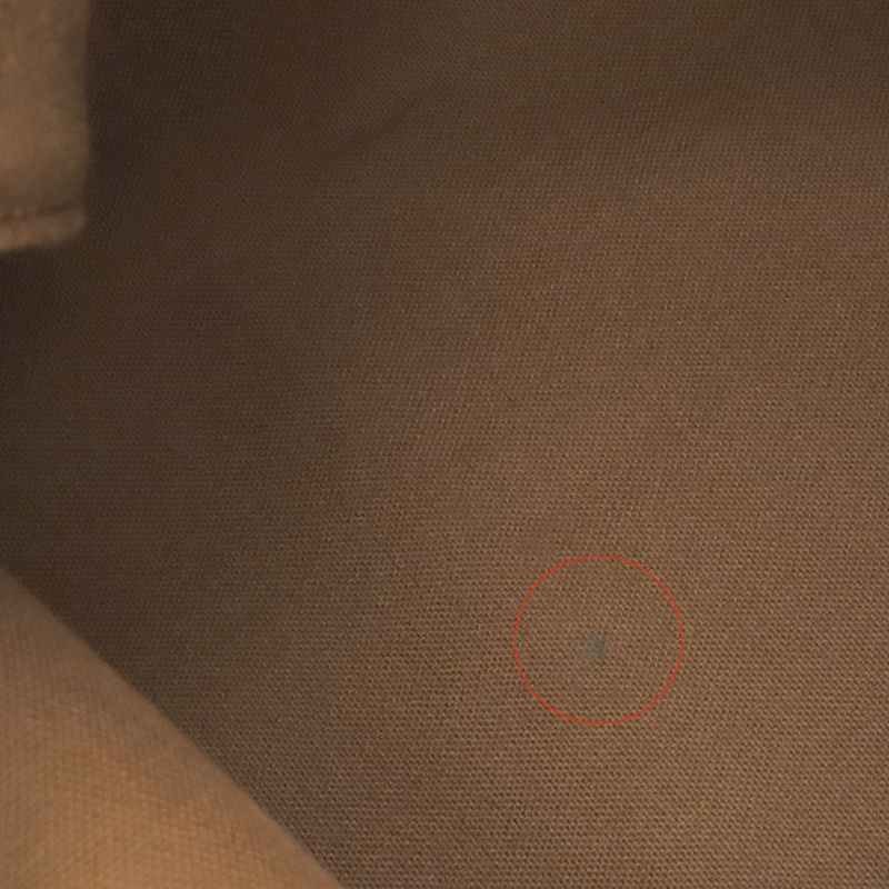 Louis Vuitton Handbag Speedy 30 Monogram Canvas Monogram Gold Hardware Brown