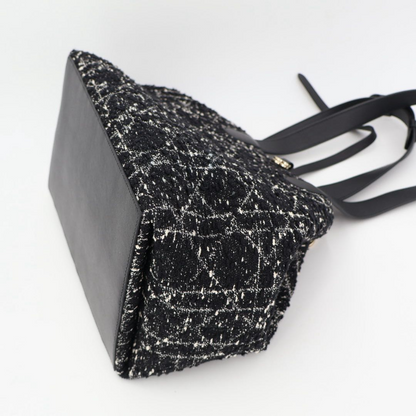 Christian DIOR Handbag Canage Toujours