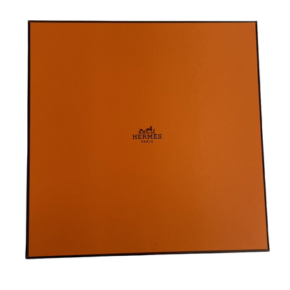 Hermes Carre 90 Le Premier Chant Song Of Beginnings Scarf Multicolor With Box