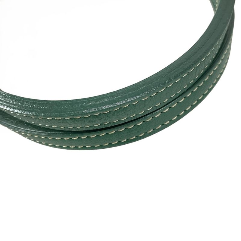 Goyard Shoulder Bag Saint Louis PM Green Leather