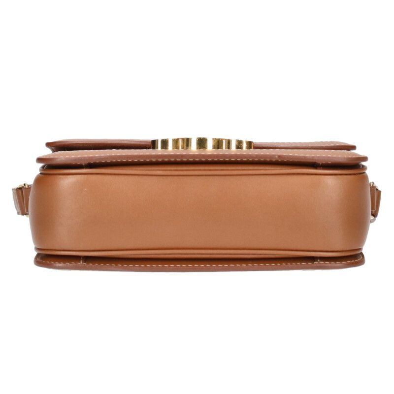 Celine Teen Triomphe Canvas Calfskin Shoulder Bag Women