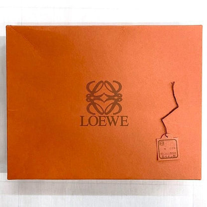 Loewe Scarf Ec21134 Light Blue Check Cleaned