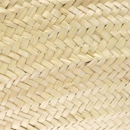 Celine Triomphe Medium Classic Pannier Basket Tote Bag Beige Brown