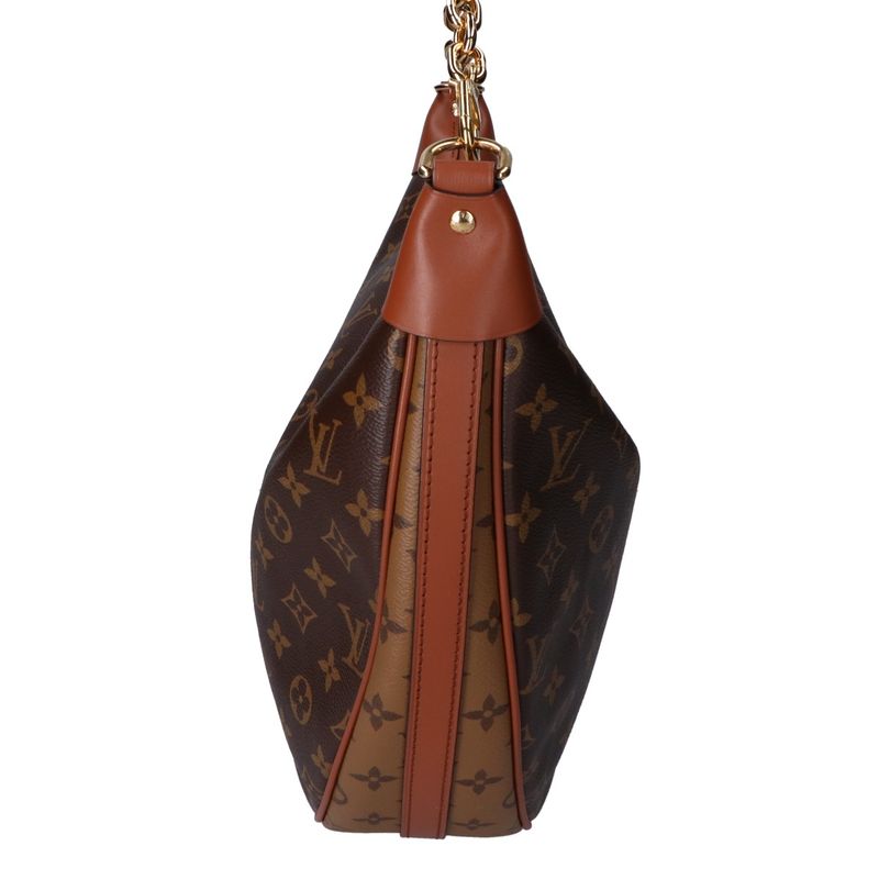 Louis Vuitton Beautiful M46311 Loop Hobo 2-way