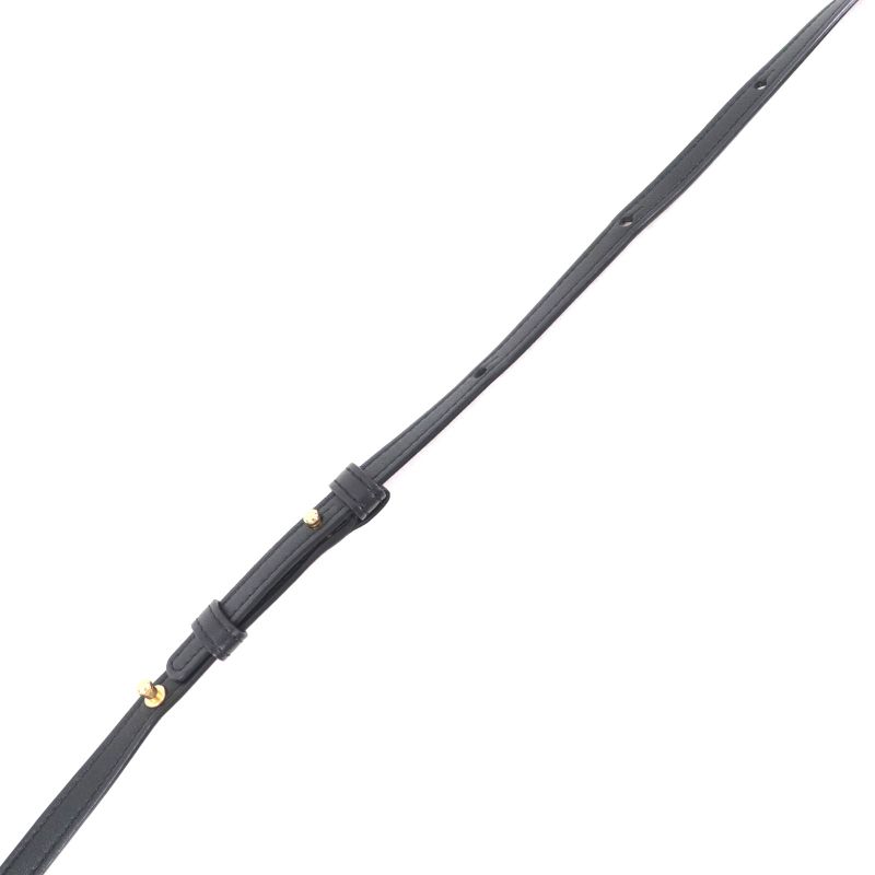 Celine 19203 Trio Small Smooth Lamb Skin Shoulder Bag Black Gold Hardware