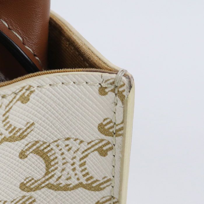 Celine Mini Vertical Cabas 2WAY Triomphe Canvas 19437 2BZK Handbag PVC Leather