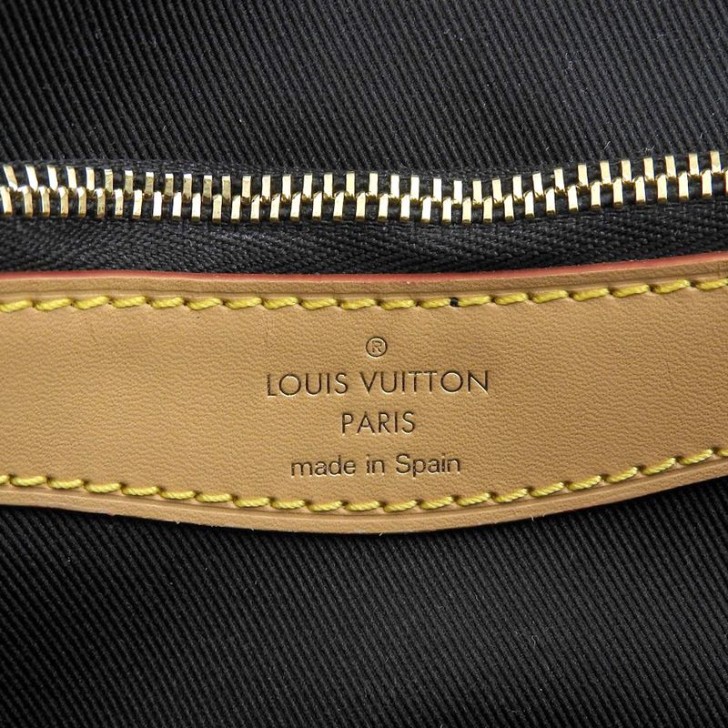 Louis Vuitton Monogram Diane NM PM Shoulder Bag