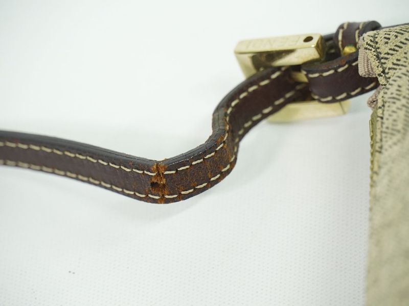 Authentic Fendi Zucchino Accessories Pouch Handbag Canvas Beige 8br133 Zucchino