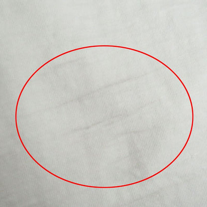 DIOR Homme 23AW 393j696a0849 Slub Cotton Crew Neck Short Sleeve T-shirt With