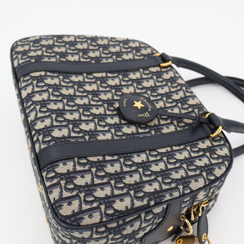 Christian DIOR Vibe Oblique Canvas And Leather 2WAY Handbag