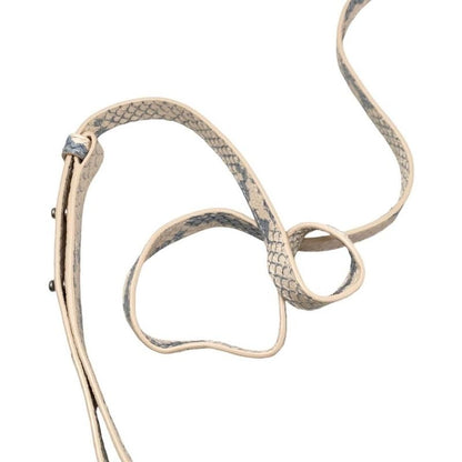 Bottega Veneta Shoulder Bag Mount Small Envelope Bag 667399 V10r0 Chain Python