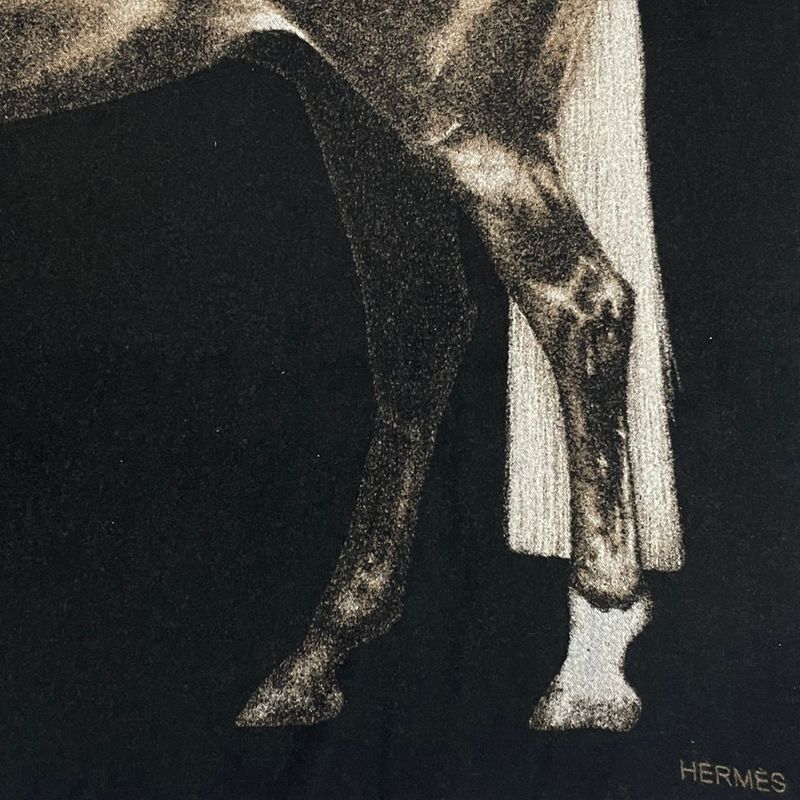 Extra-large Hermes Cheval Palomino Blanket Cheval Palomino Blanket Horse Print