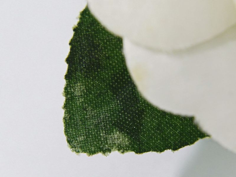 Authentic Chanel Camellia Corsage Brooch Nylon White Green Camellia Accessories