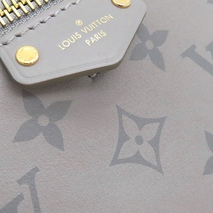 Louis Vuitton 2way Bag Vanity Chain Pouch Calfskin Leather Trianon Gray Gold