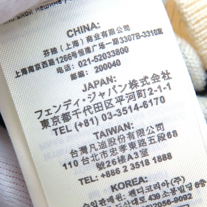 Fendi Fzz489 100% Wool FF Motif Total Pattern Crew Neck Long Sleeves Knit