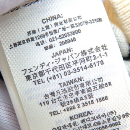 Fendi Fzz489 100% Wool FF Motif Total Pattern Crew Neck Long Sleeves Knit