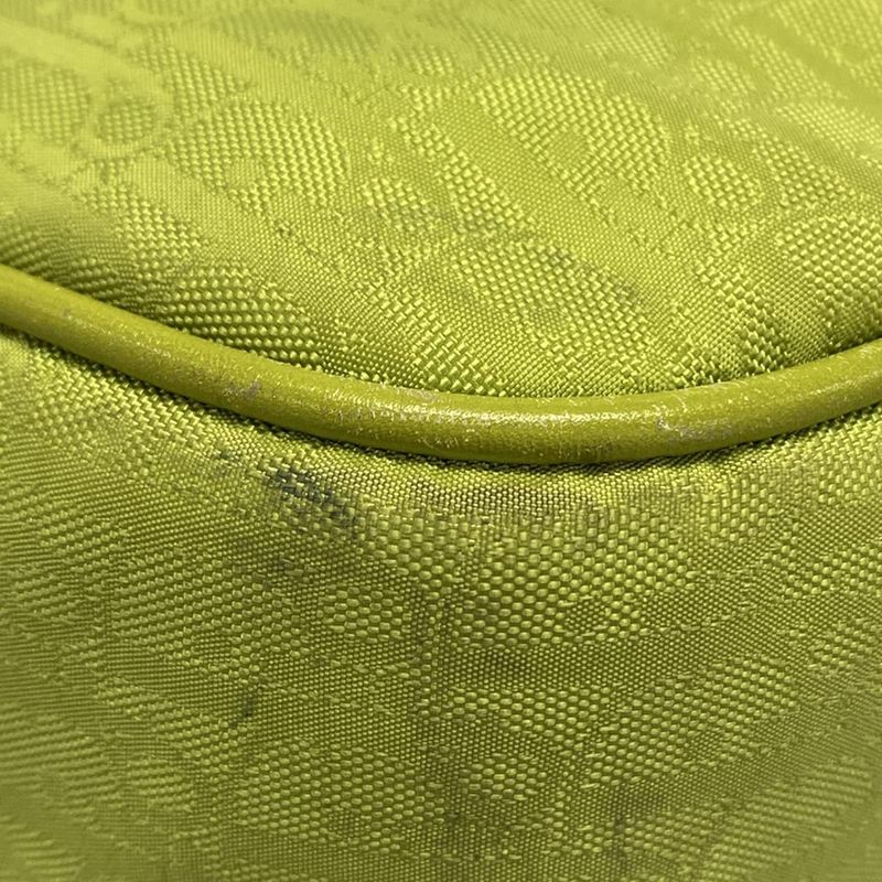 Dior/christian Dior Handbag Trotter Light Green Ribbon Leather