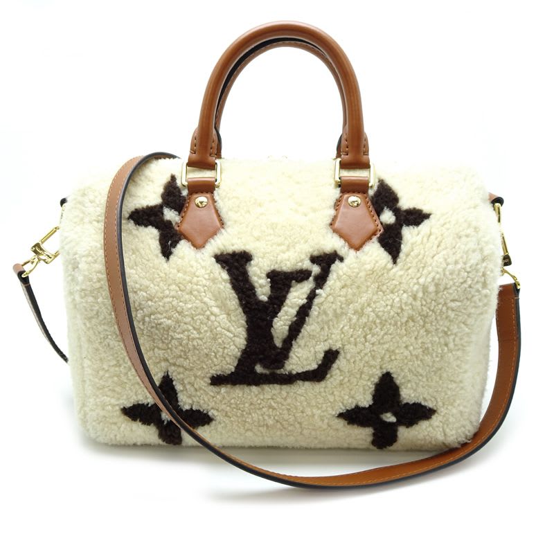 Louis Vuitton Handbag Speedy